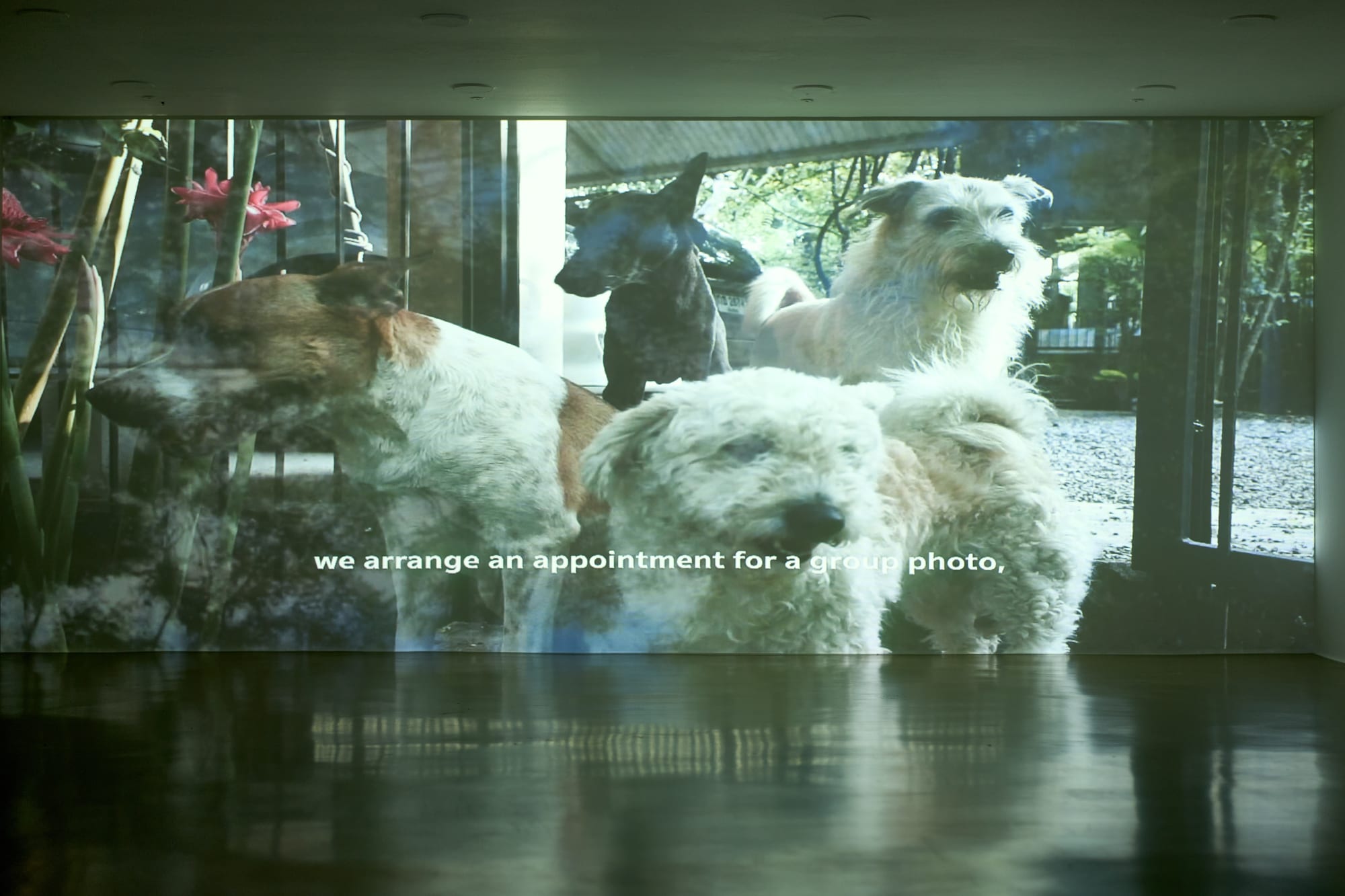 Three Stories from Ban Wang Hma (Dog’s Palatial House)