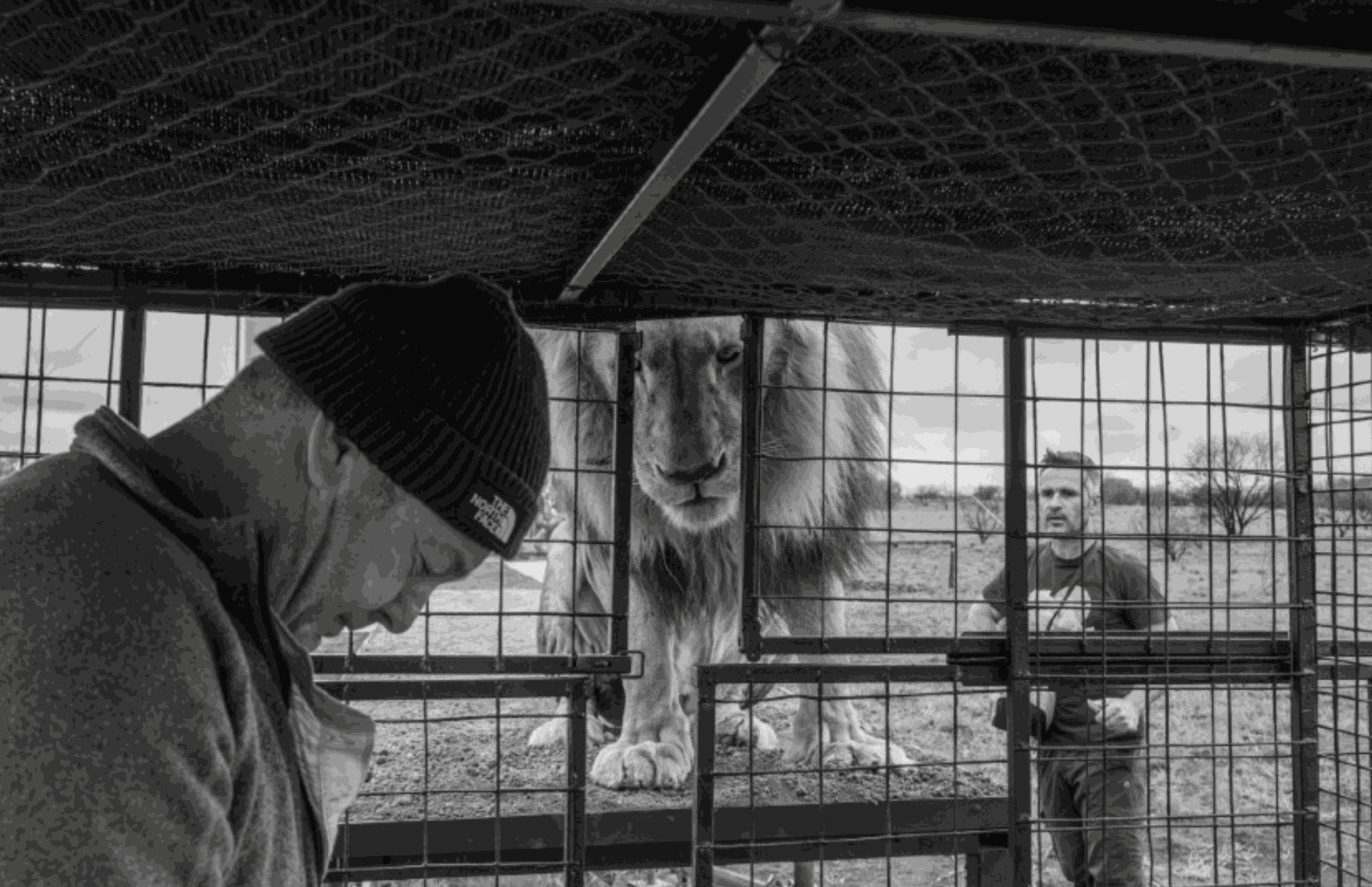 Behind the scenes of Catwalk