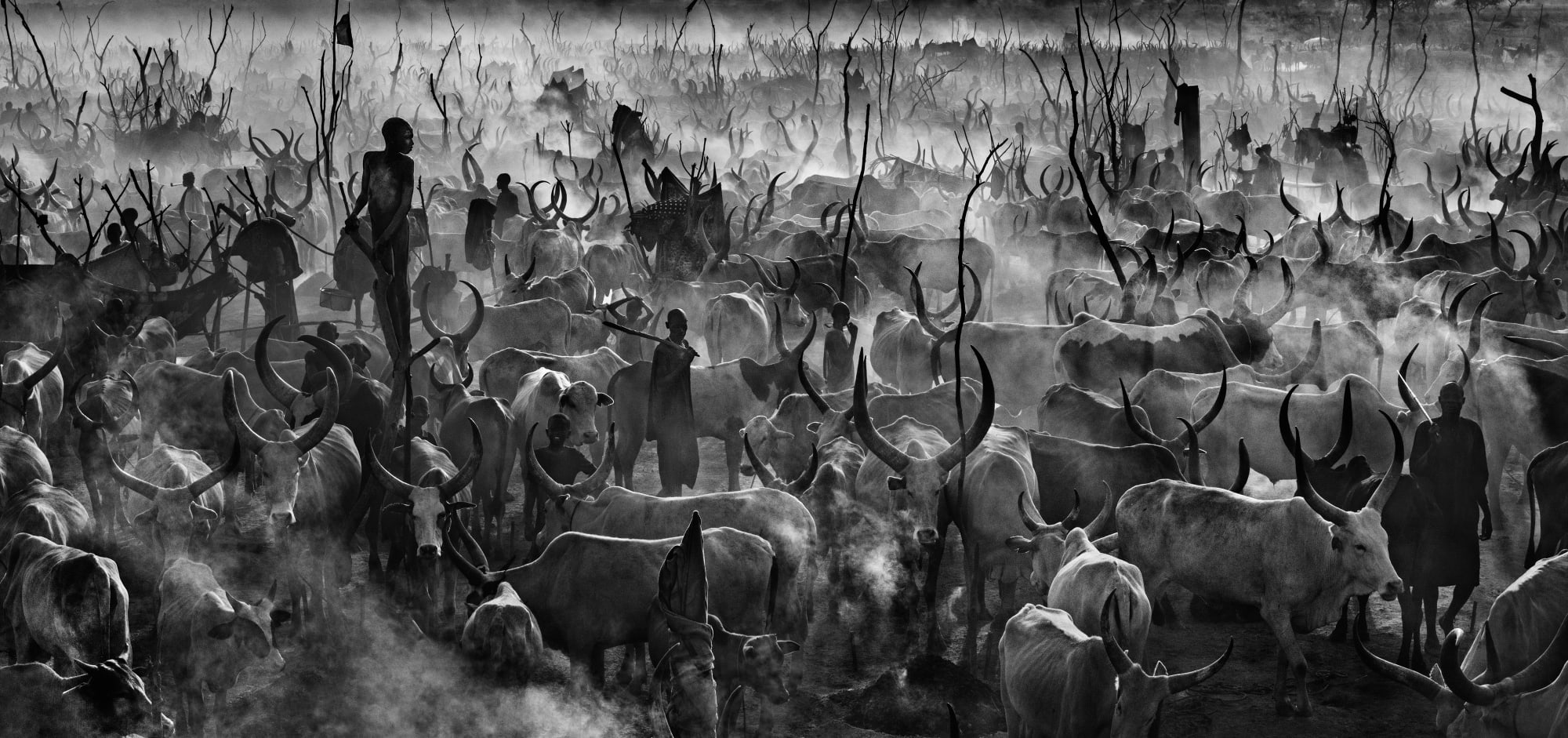 "Mankind" Taken in South Sudan in 2015, 'Mankind' is heavenly on one glance and Dante's "Hell" on the other. This image captures the raw enormity of a Dinka cattle camp in an elemental and biblical setting. Yarrow wanted people to look at the picture for hours and find new stories each time. The Daily Telegraph gave this image two pages immediately, and is a key piece in Yarrow's stamp on photography and storytelling. Yarrow was indeed the first photographer to visit the 25,000 strong cattle camp, and no other filmmaker has managed to get to this location.