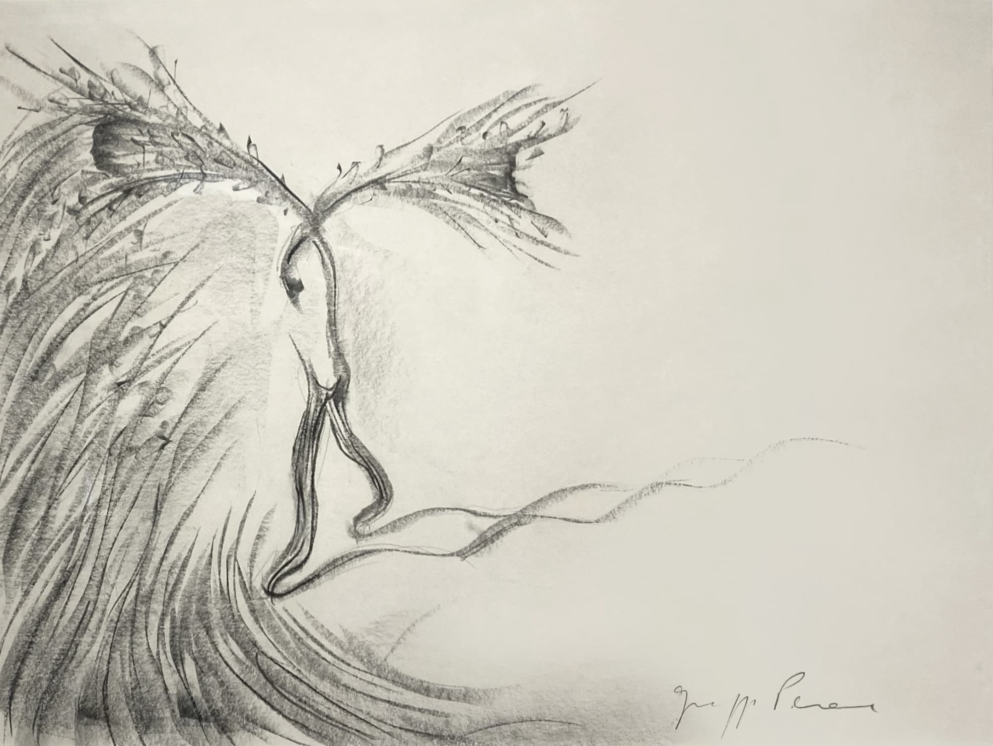 Giuseppe Penone Sans titre 1983 Fusain sur papier / Charcoal on paper 41,5 x 59 cm