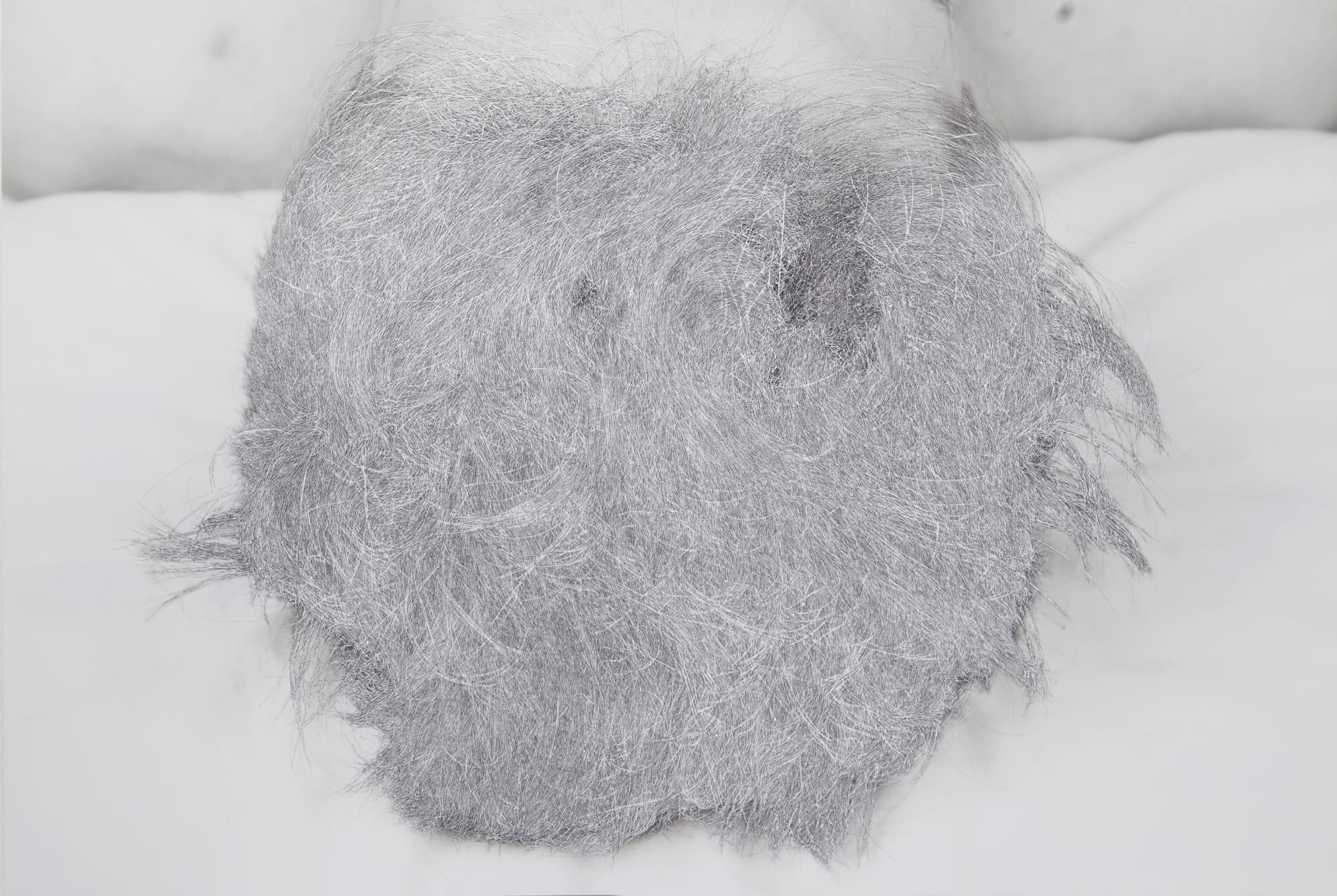 Mackrell Swarm Top of my head super large