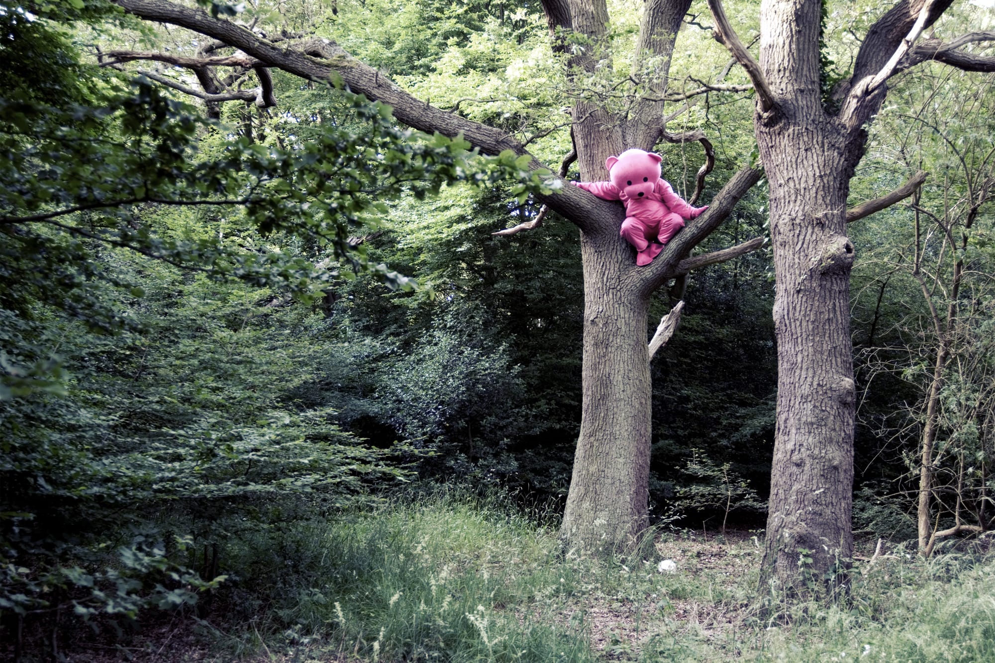 Robinson Recollection of innocence