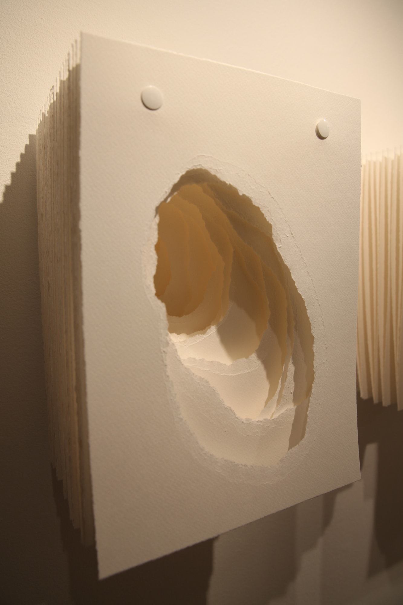 Angela Glajcar paper sculpture hanging at Andipa Gallery