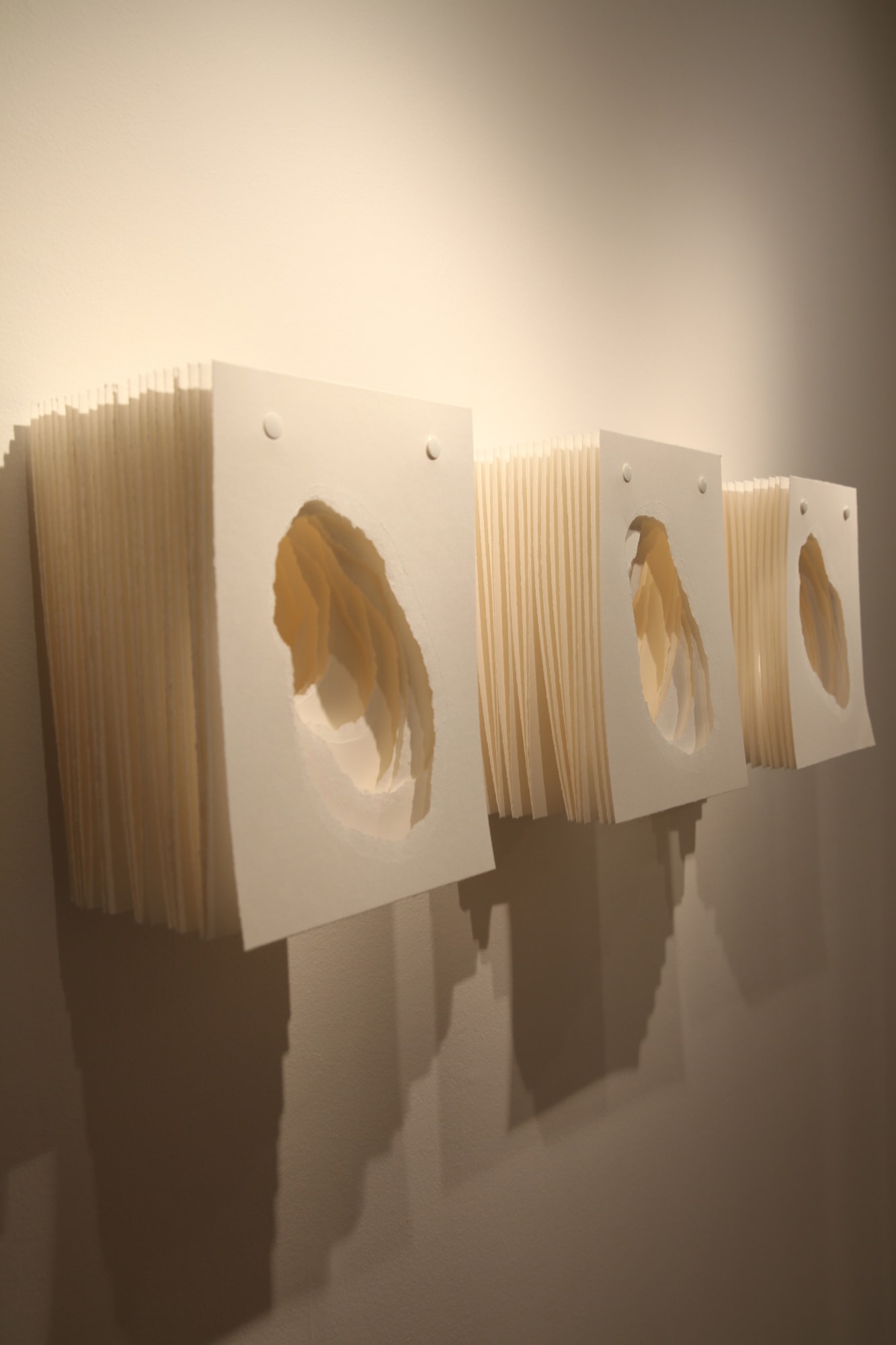 Angela Glajcar paper sculpture hanging at Andipa Gallery