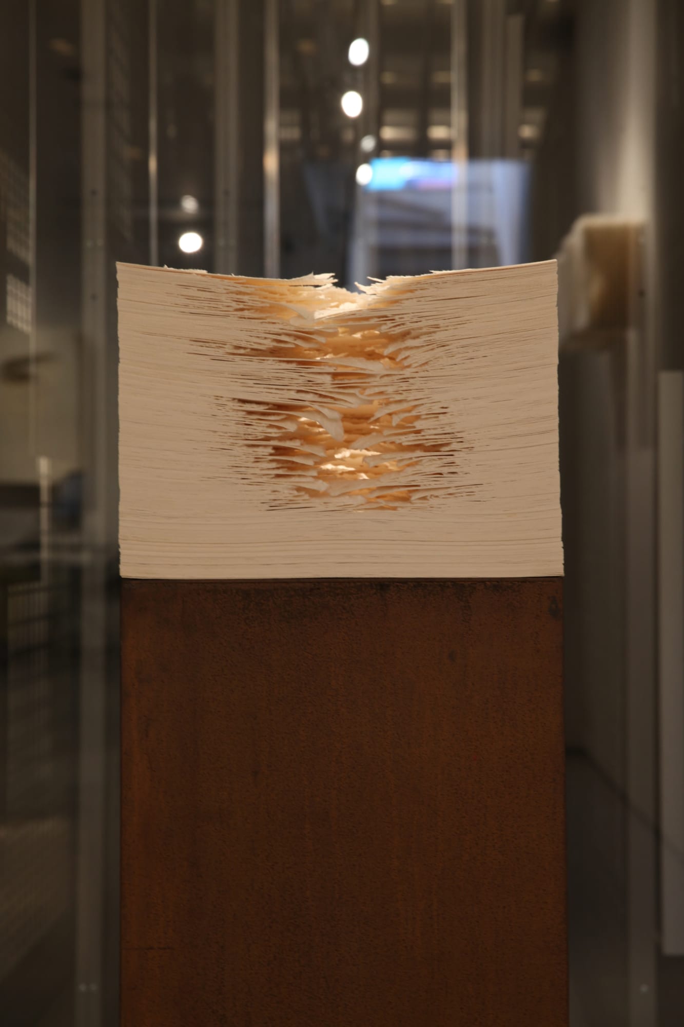 Angela Glajcar paper sculpture hanging at Andipa Gallery