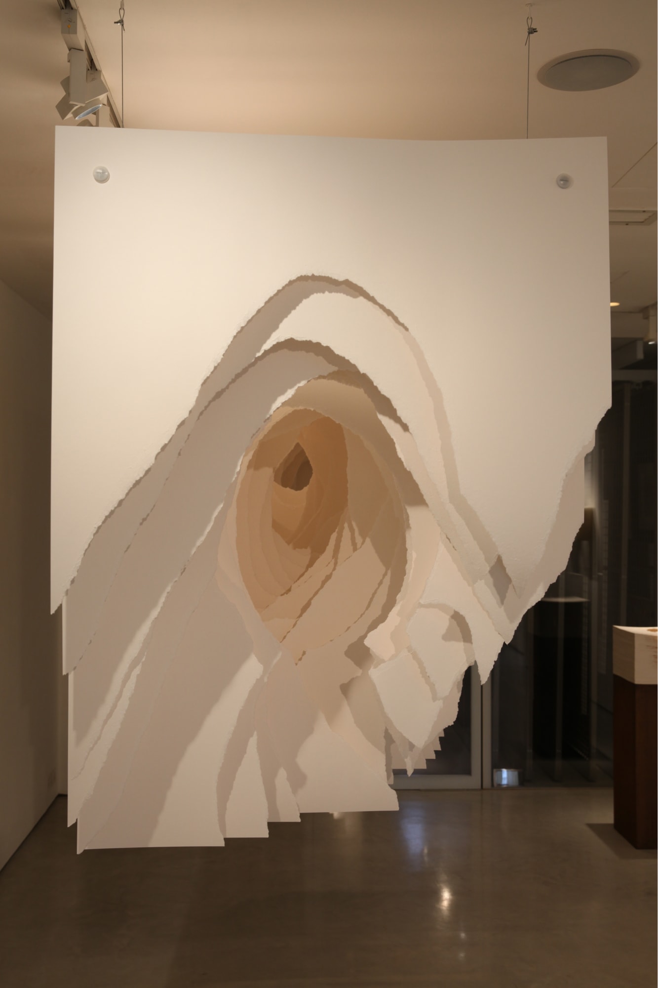Angela Glajcar paper sculpture hanging at Andipa Gallery
