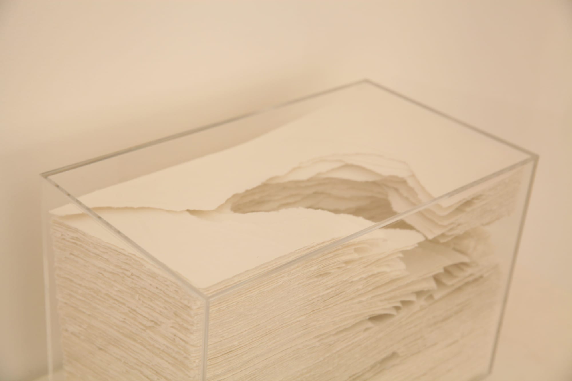 Angela Glajcar paper sculpture hanging at Andipa Gallery