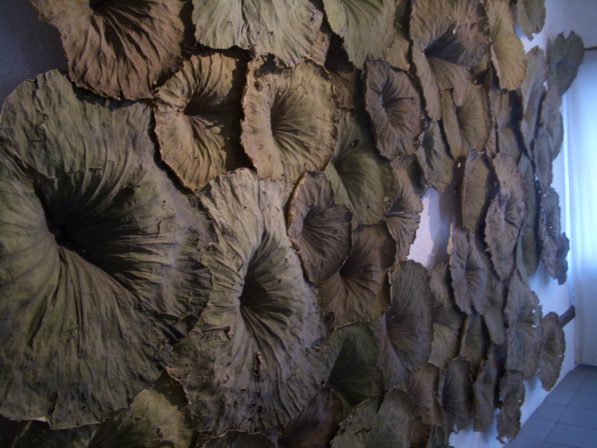 David Roux-Fouillet Installation at Andipa Gallery
