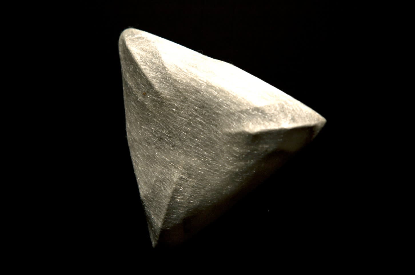 roux-fouillet Exuvie Hybrid Triceps sculpture