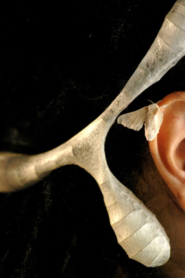 roux-fouillet Ornamental Fauna Papillon