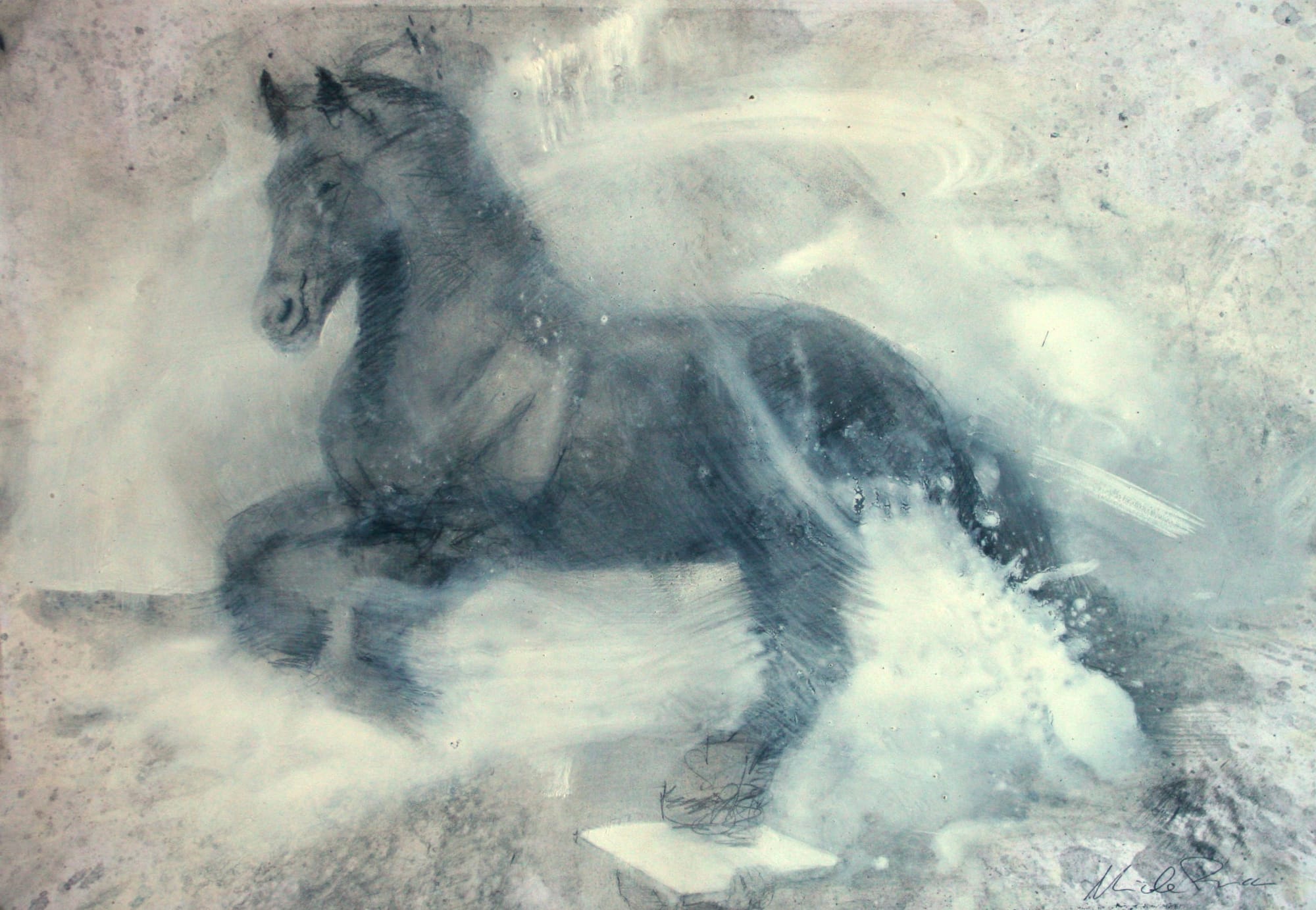 Pucci Cavallo Al Galoppo sketch