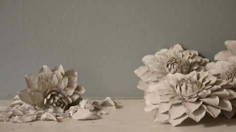 Secret Language of Flowers exhibition hanging in Andipa Gallery