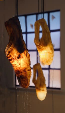 Secret Language of Flowers exhibition hanging in Andipa Gallery