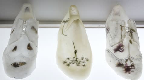 The Secret Language of Flowers