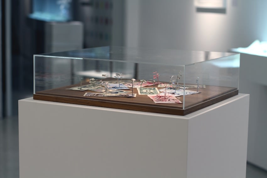 Secret Language of Flowers exhibition hanging in Andipa Gallery