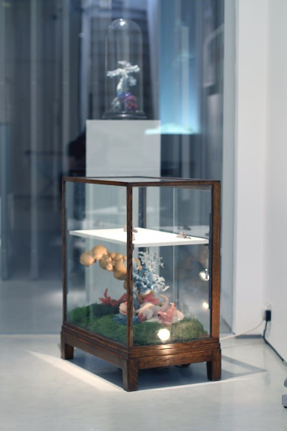 Secret Language of Flowers exhibition hanging in Andipa Gallery