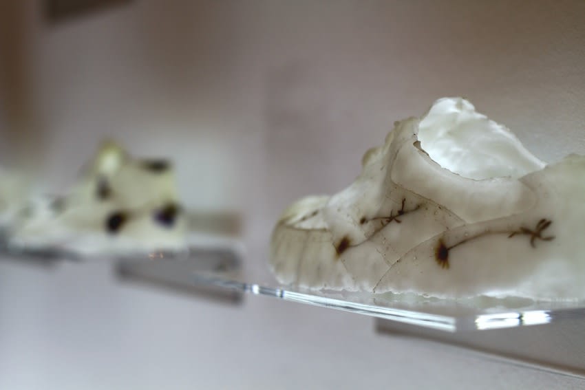 Secret Language of Flowers exhibition hanging in Andipa Gallery