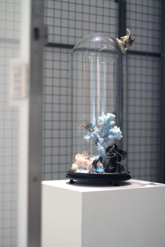 Secret Language of Flowers exhibition hanging in Andipa Gallery