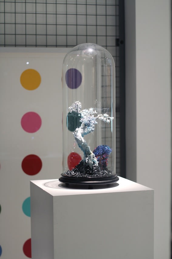 Secret Language of Flowers exhibition hanging in Andipa Gallery