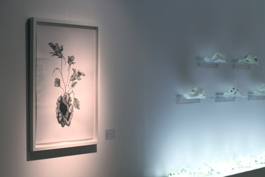 Secret Language of Flowers exhibition hanging in Andipa Gallery