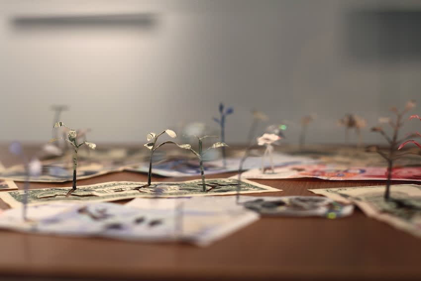 Secret Language of Flowers exhibition hanging in Andipa Gallery