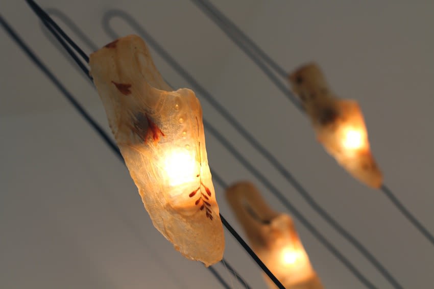 Secret Language of Flowers exhibition hanging in Andipa Gallery