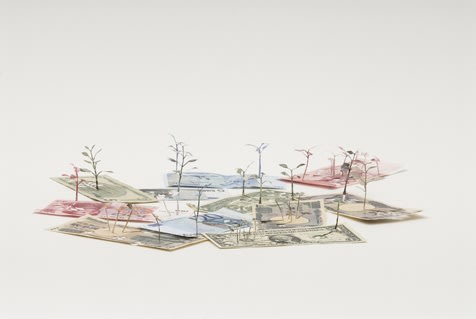 Secret Language of Flowers exhibition hanging in Andipa Gallery