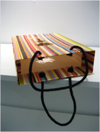 Secret Language of Flowers exhibition hanging in Andipa Gallery