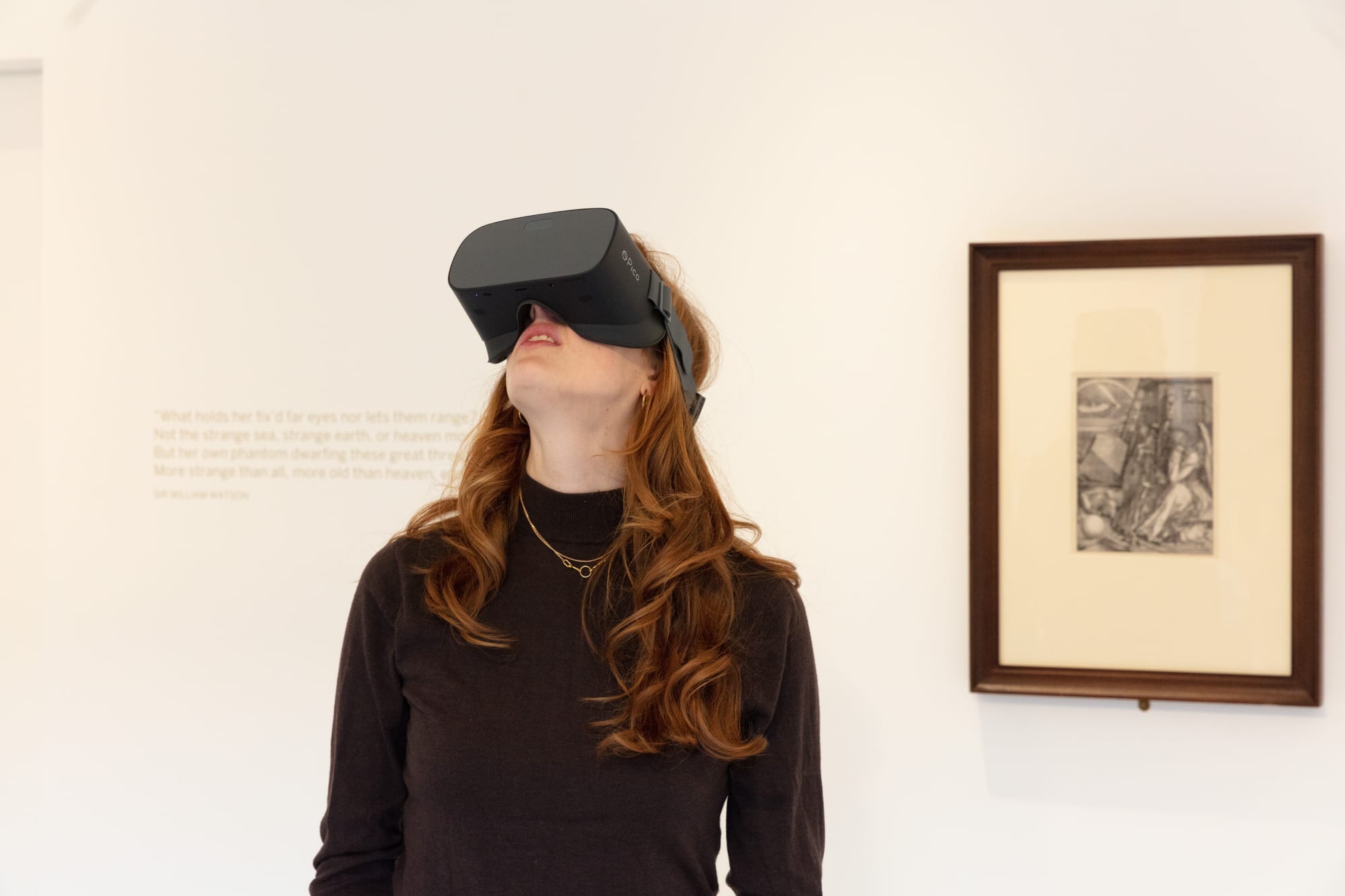 You Are Here: Albrecht Dürer & VR Overview Effect