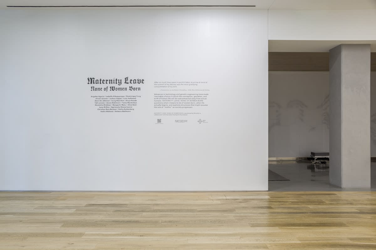 Installation view, MATERNITY LEAVE: NONE OF WOMEN BORN, 2023. Photo: Evan Sheldon.