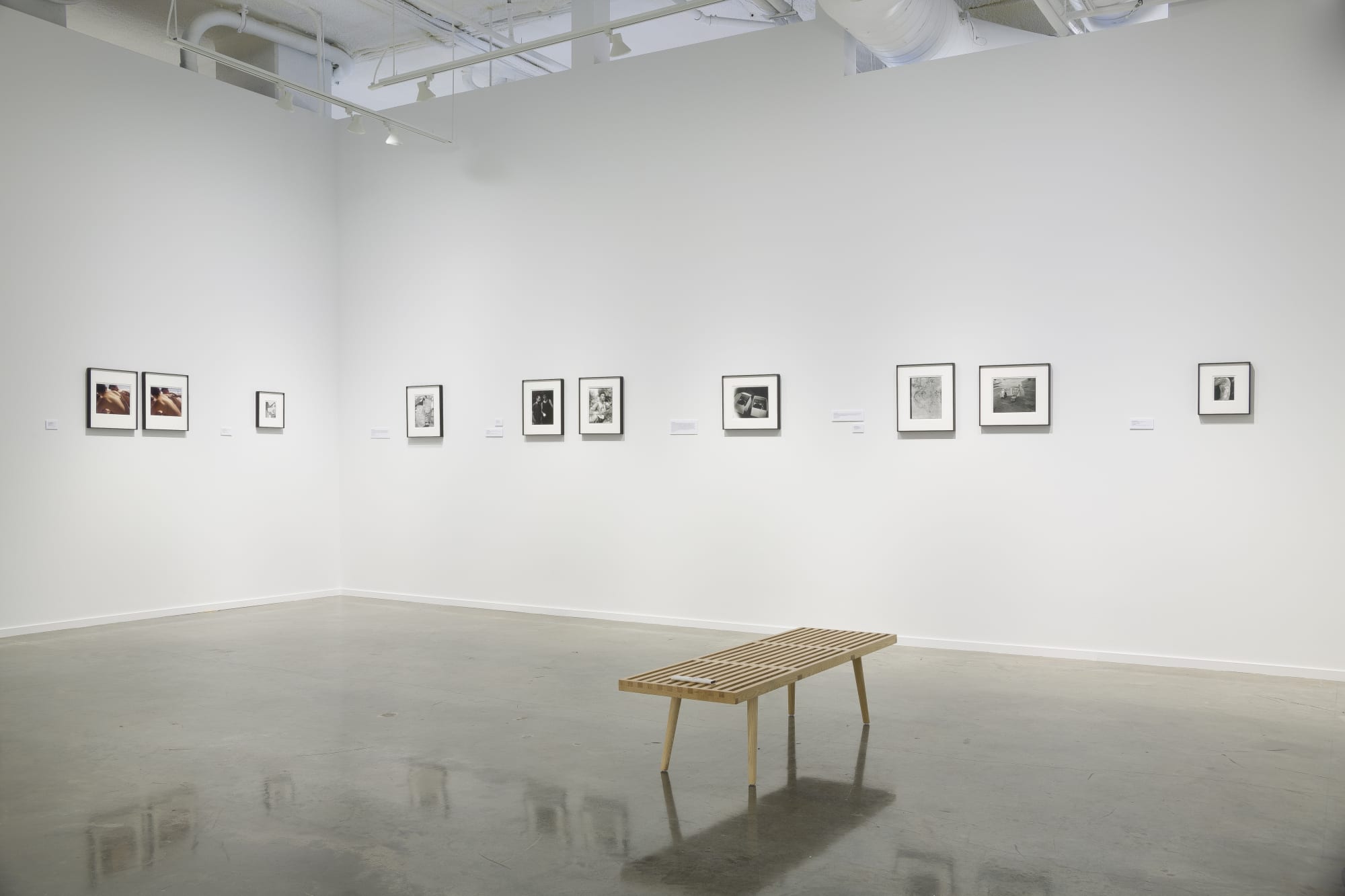 Installation view, Ian Lewandowski: Mighty Real, 2024. Photo: Evan Sheldon.