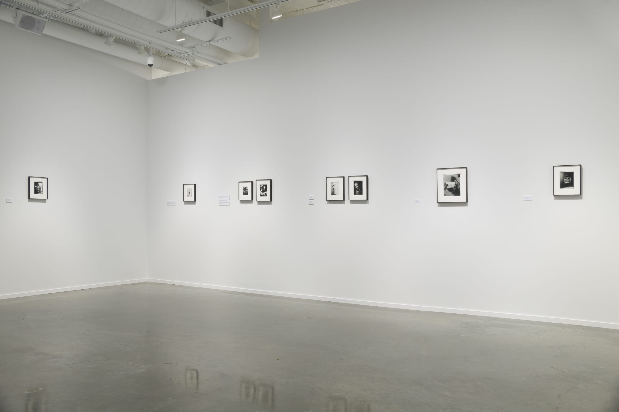 Installation view, Ian Lewandowski: Mighty Real, 2024. Photo: Evan Sheldon.