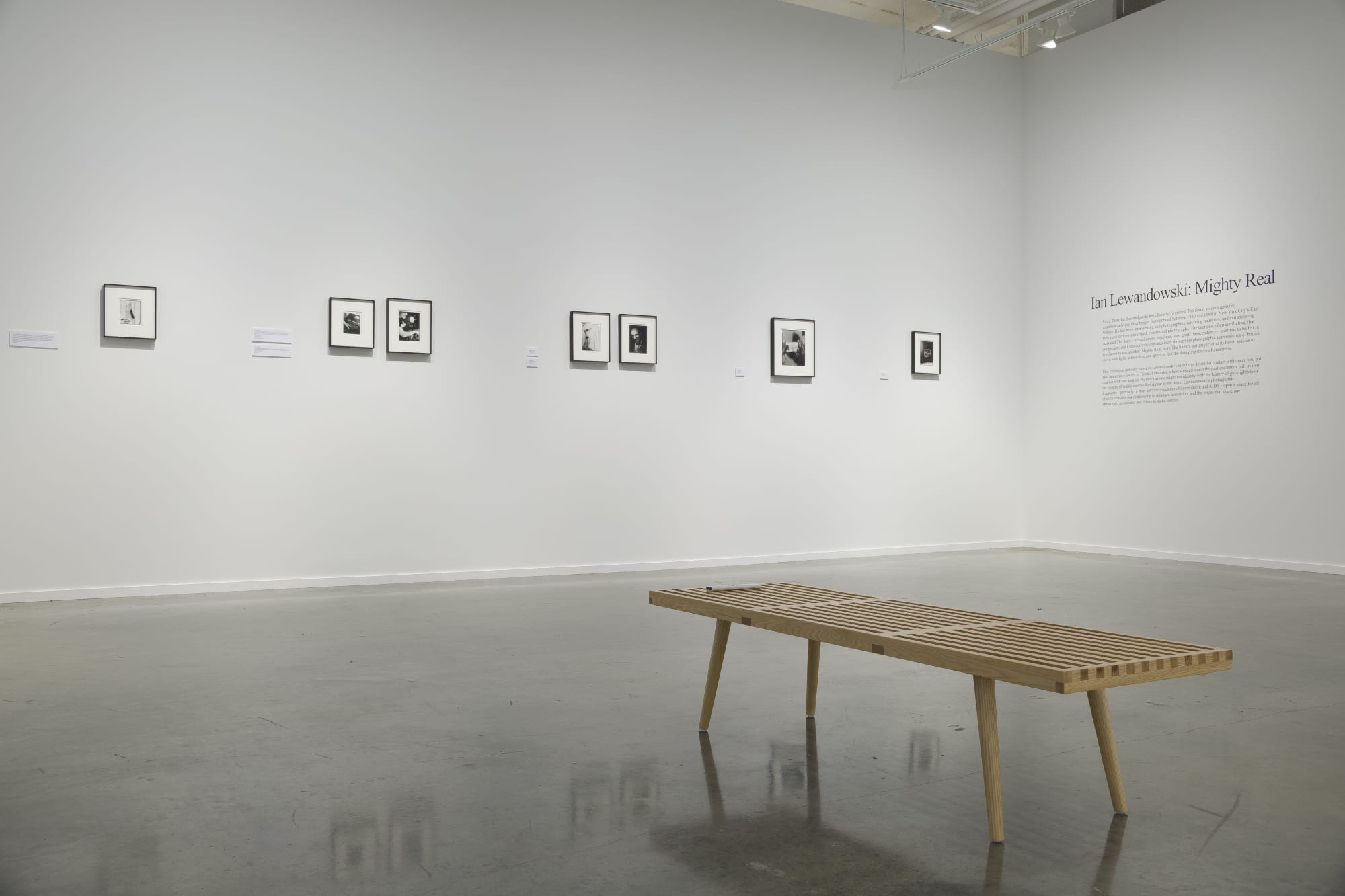 Installation view, Ian Lewandowski: Mighty Real, 2024. Photo: Evan Sheldon.