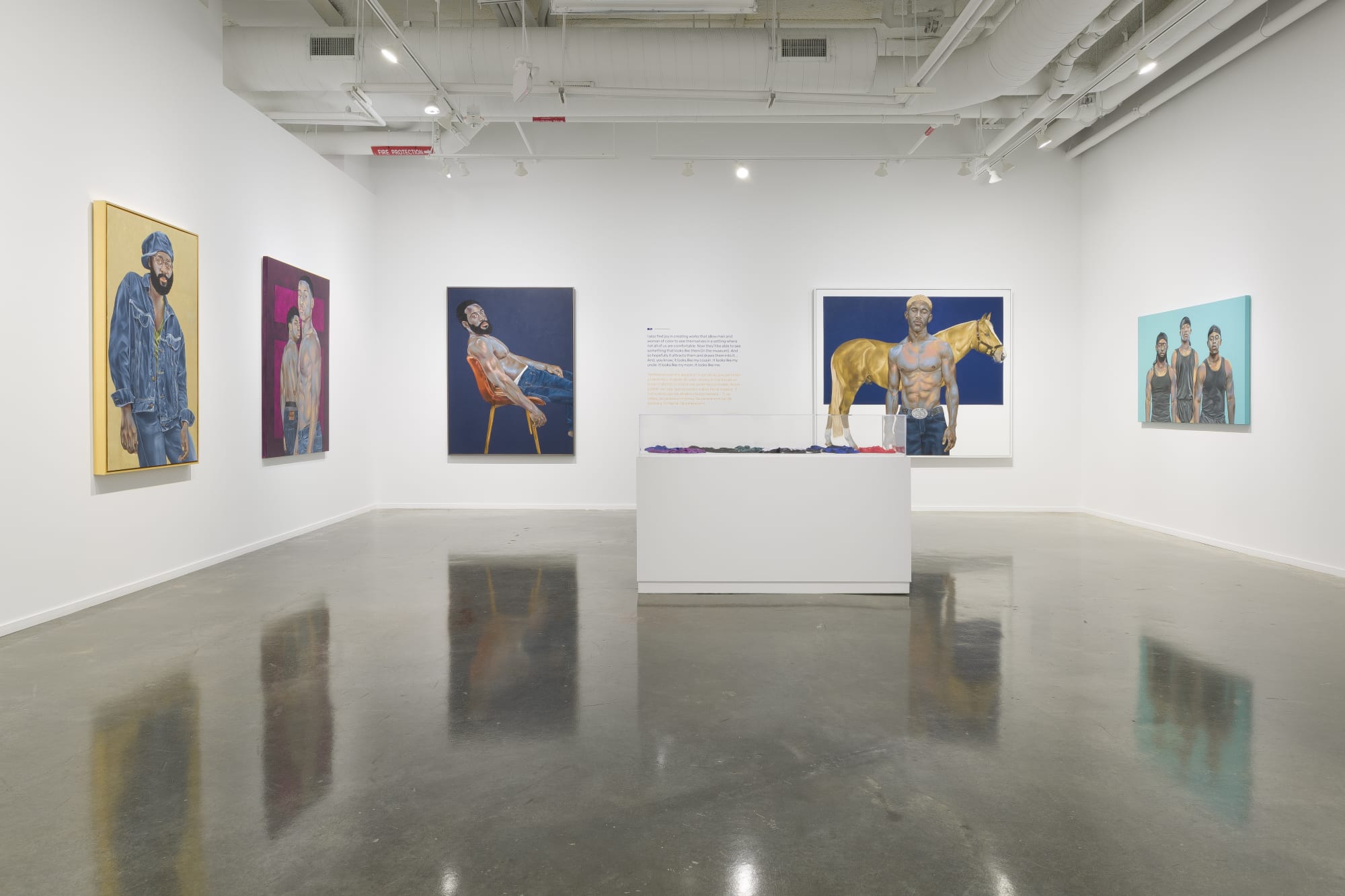 Installation view, Robert Peterson: Somewhere in America, 2025. Photo: Evan Sheldon.