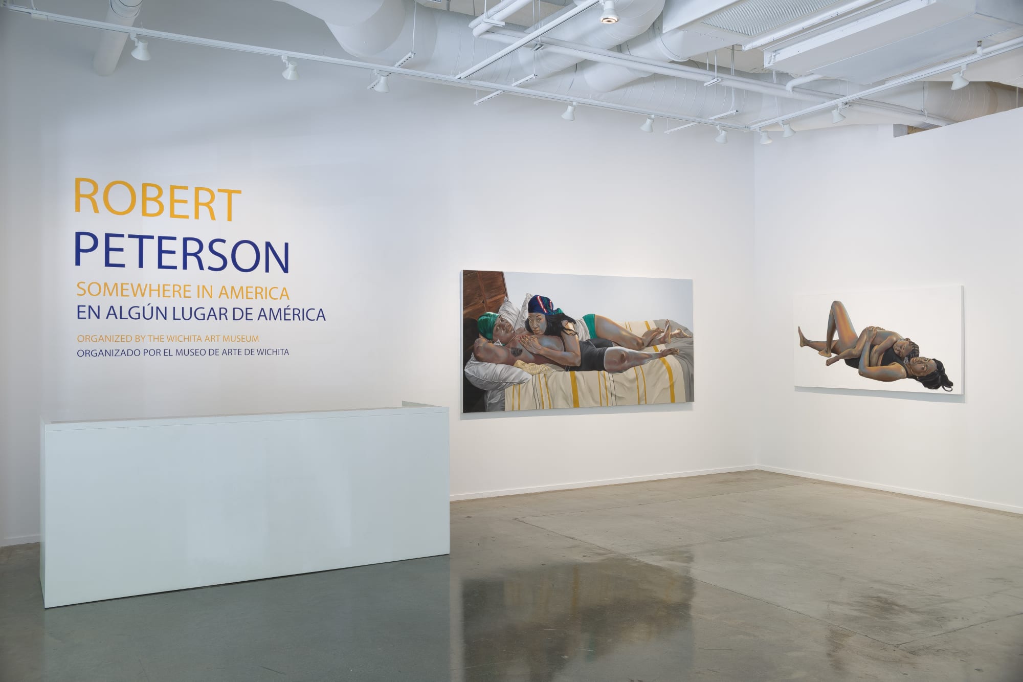 Installation view, Robert Peterson: Somewhere in America, 2025. Photo: Evan Sheldon.