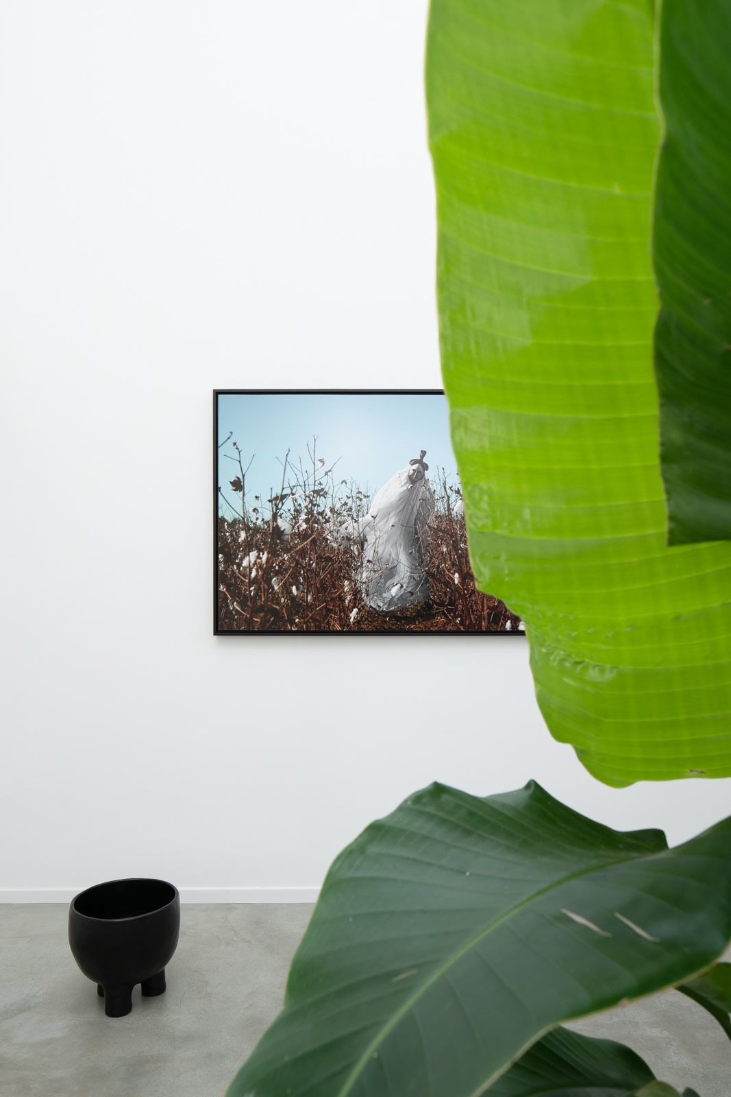 The Jumbee Sea - Installation view 