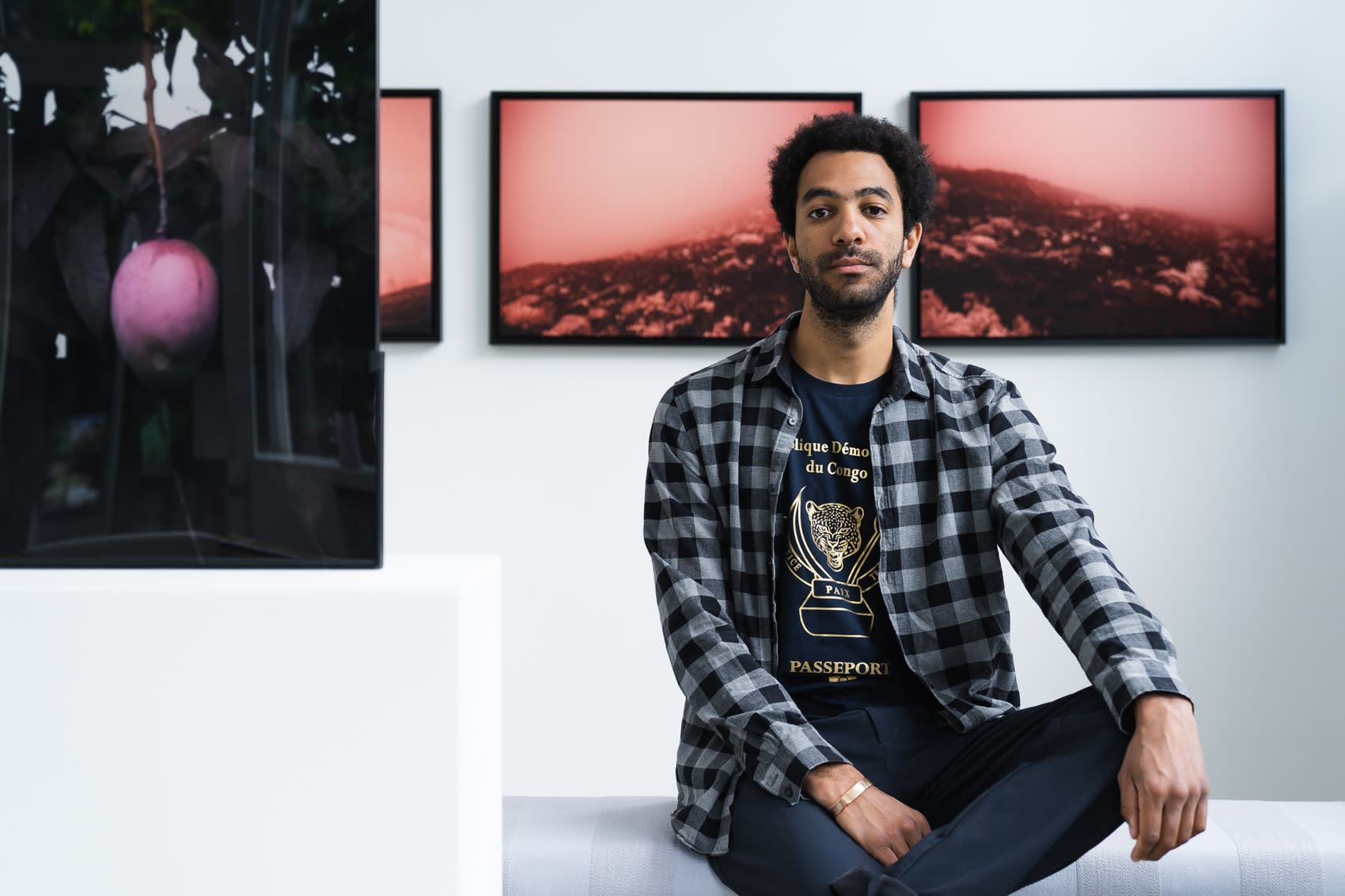 Pongo Strangely Familiar Installation 