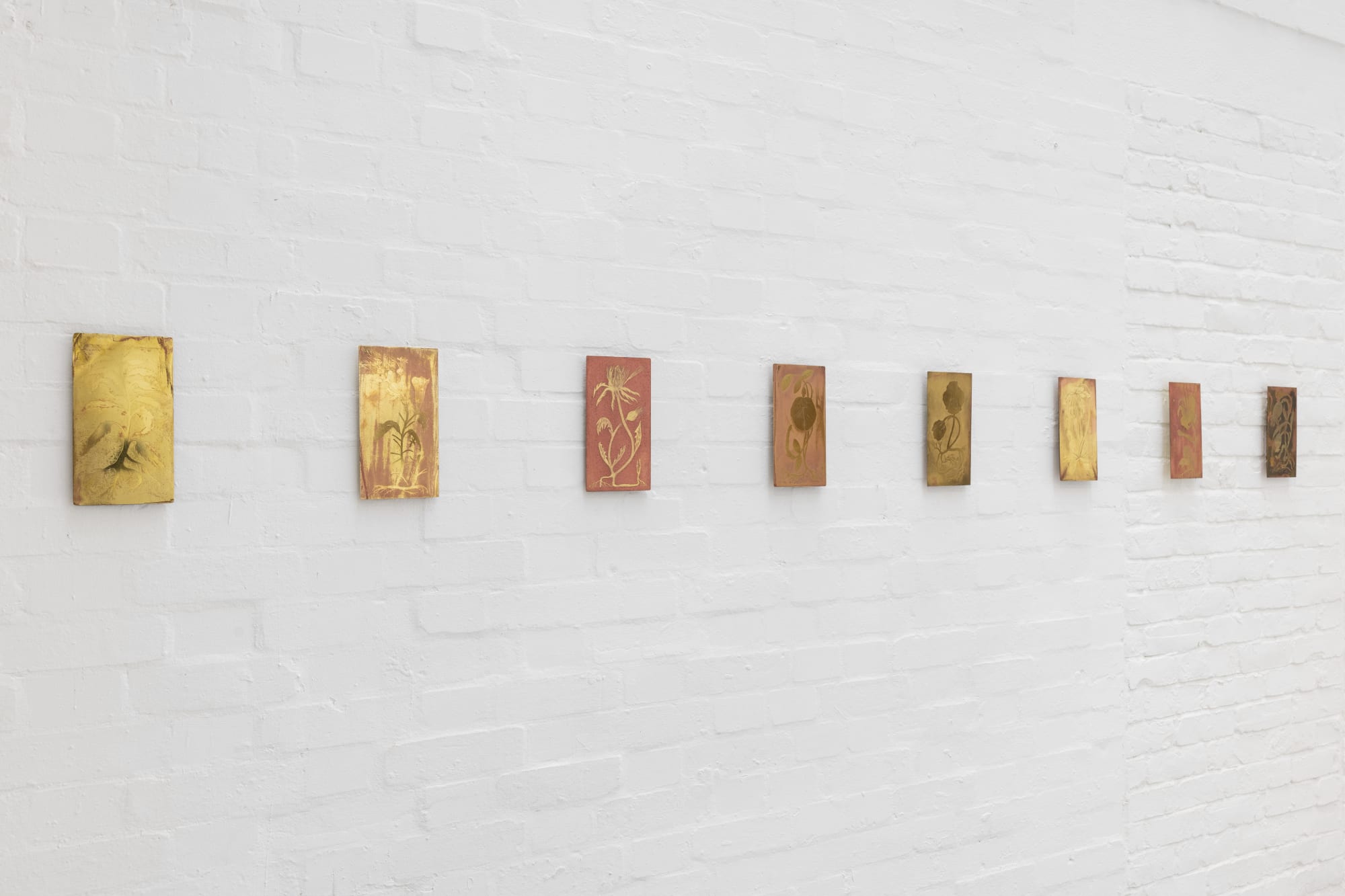 Raw Earth, Rare Earth