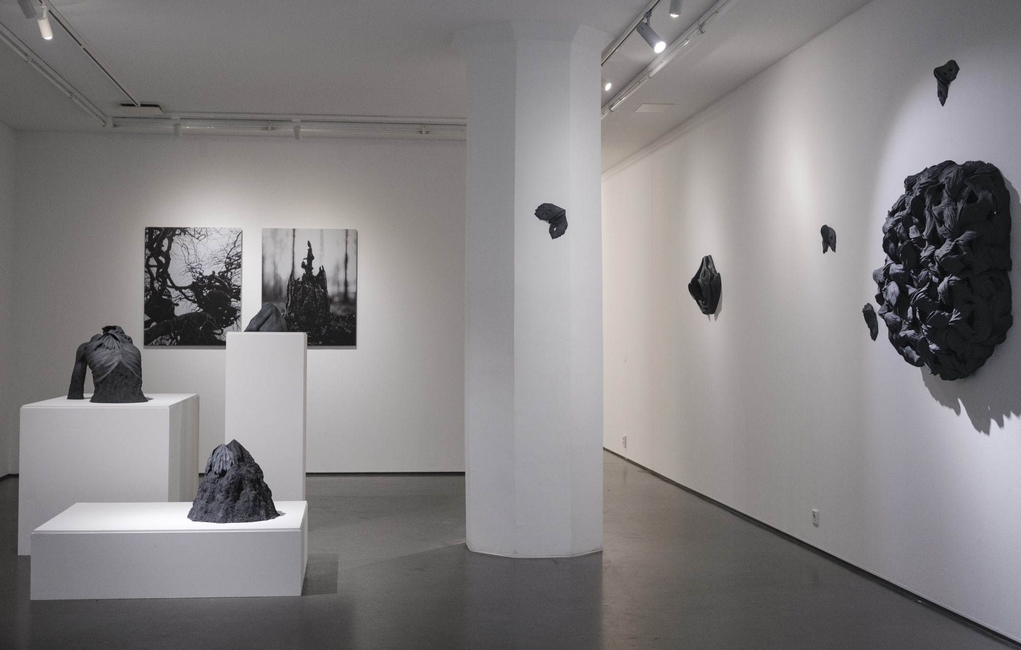 Lisa Wallert | Nocturnal wanderers