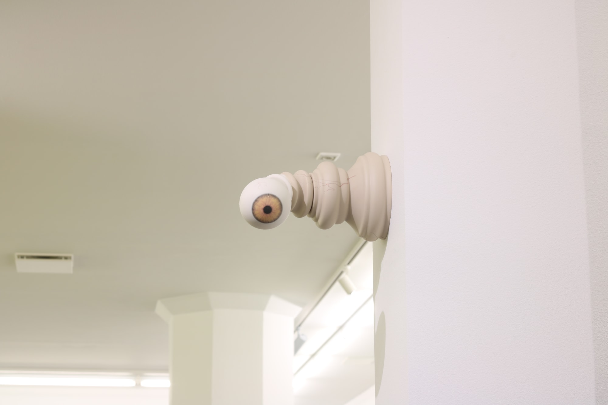 John Rainey | Flayground