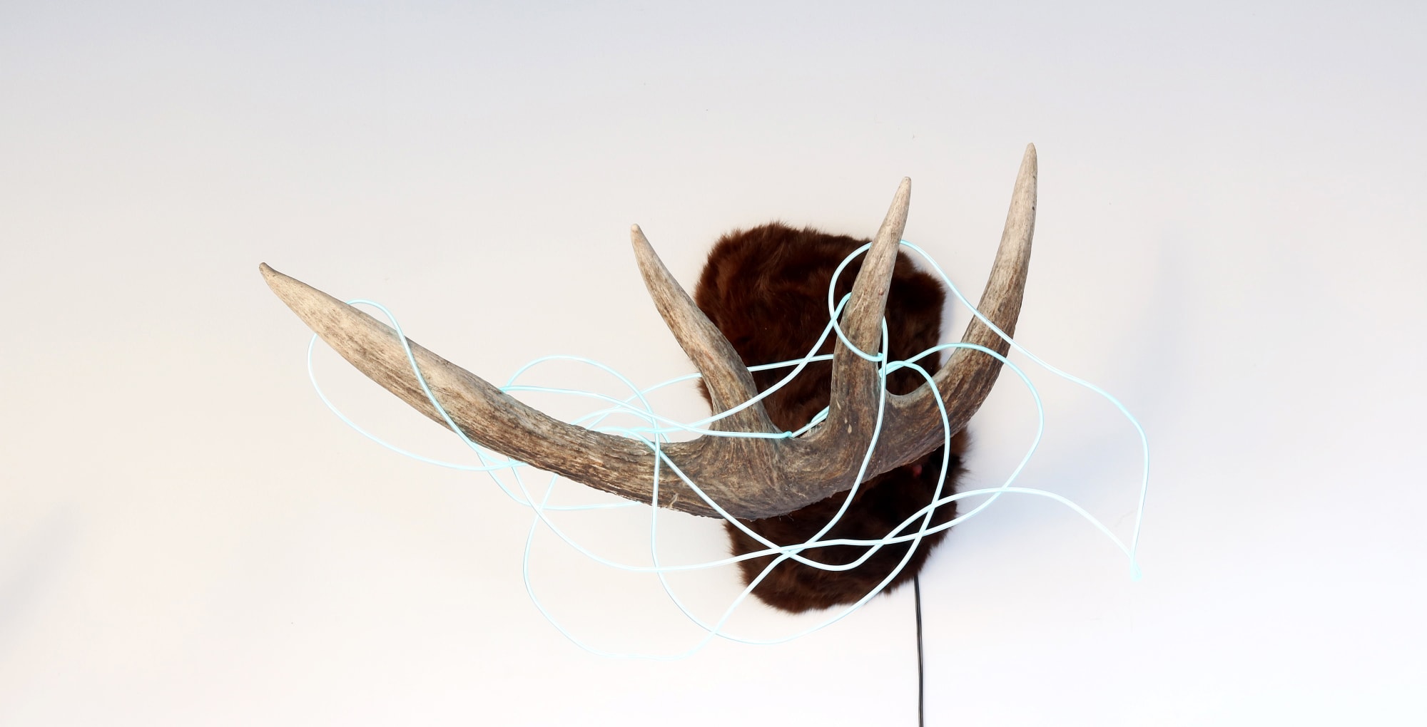 Backa Carin Ivarsdotter | Thoughts on consumption and function