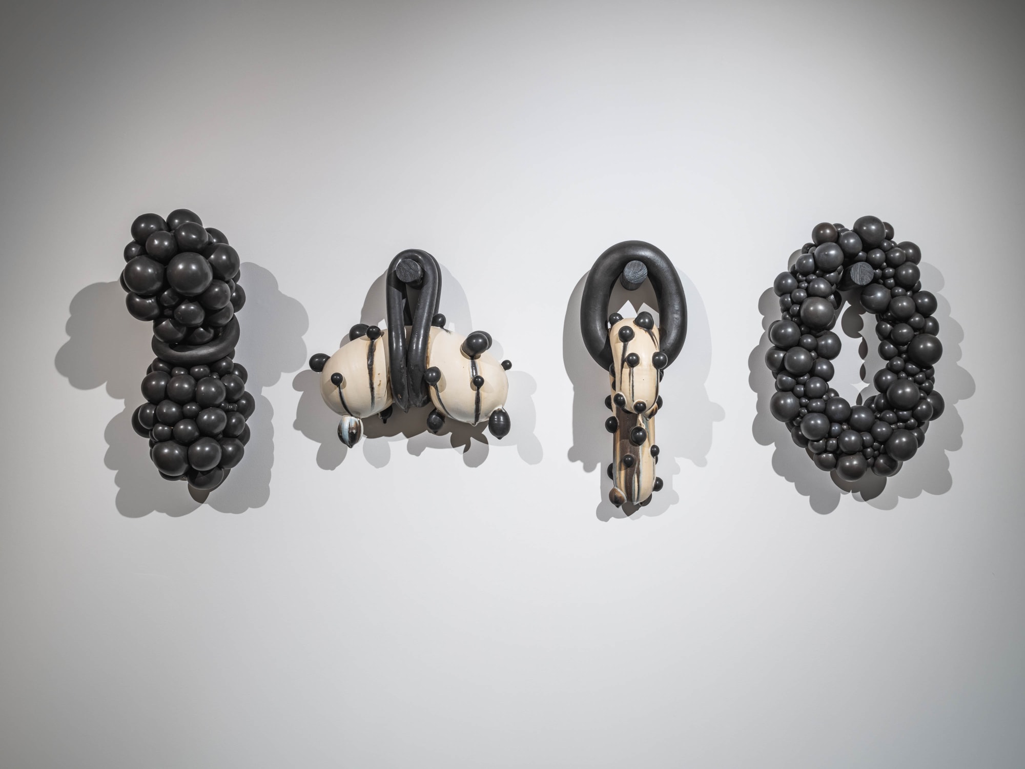 Mårten Medbo | Taxonomy