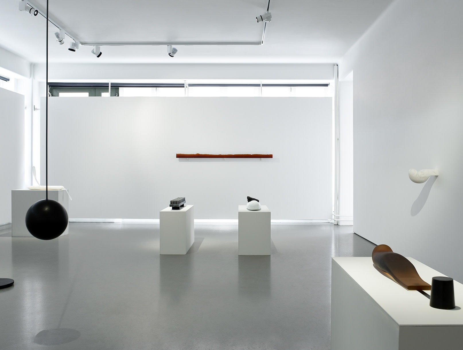 Karin Törnell | Lodad blick