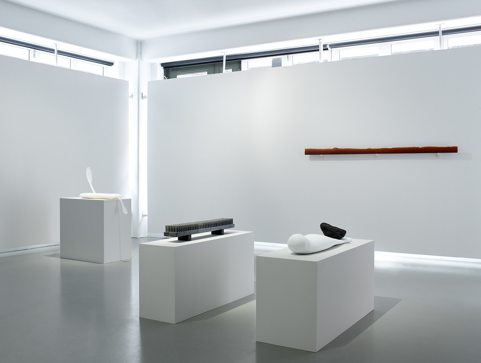 Karin Törnell | Lodad blick