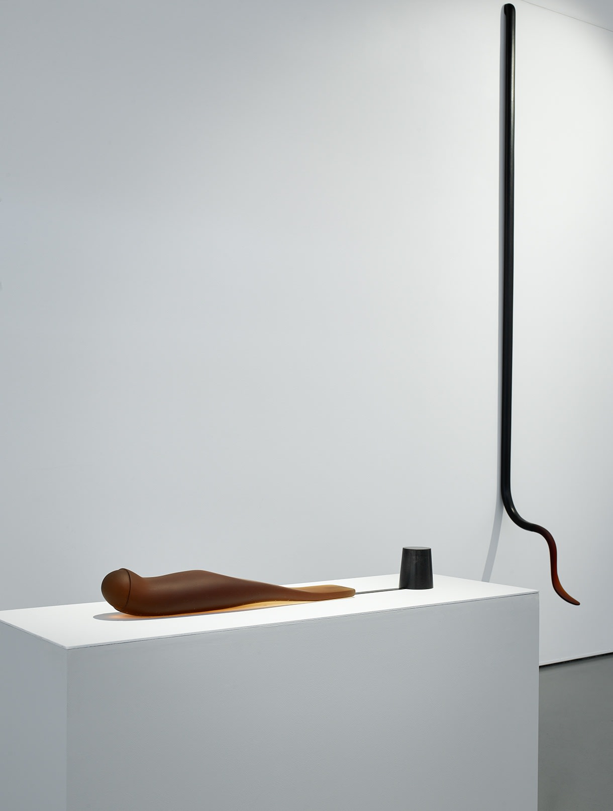 Karin Törnell | Lodad blick