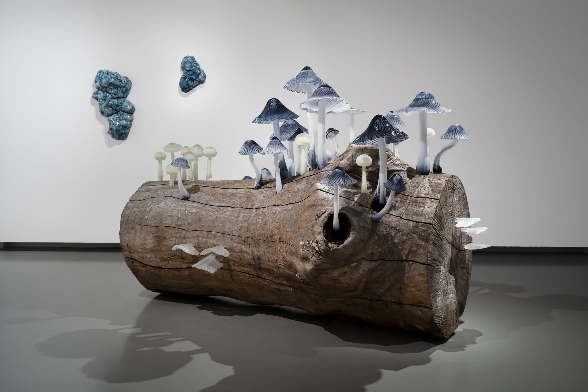 Ellen Ehk | Just efter regnet