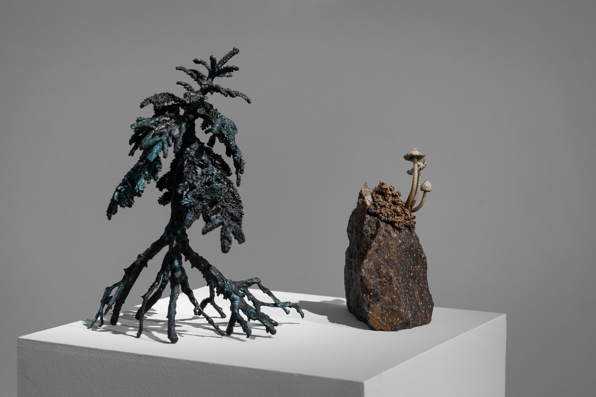 Ellen Ehk | Just efter regnet