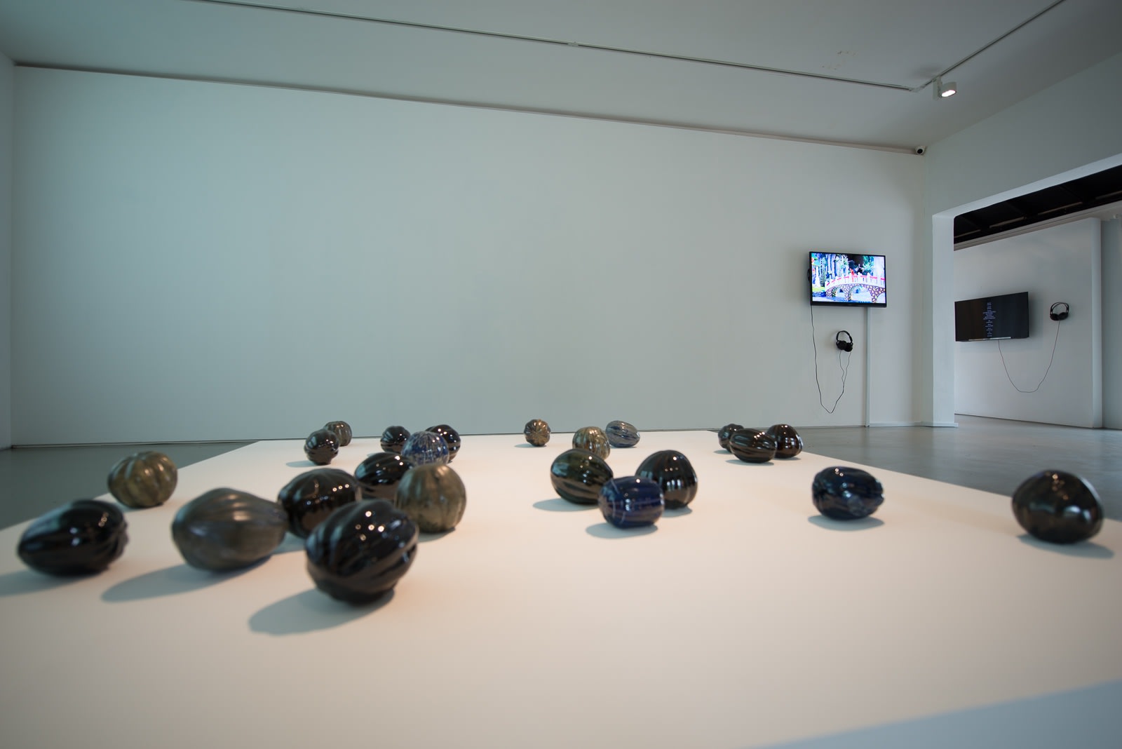 Quynh Dong: Long Journey