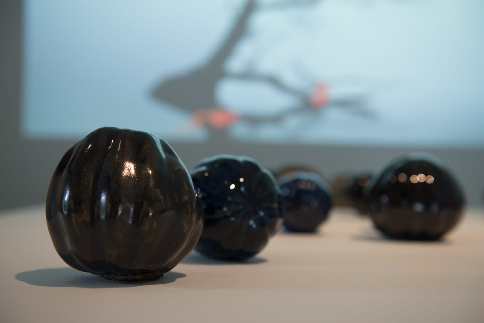 Quynh Dong: Long Journey