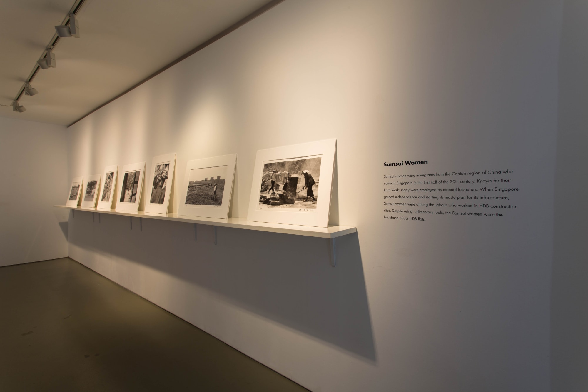 Loke Hong Seng: A Social Portrait of Singapore The Critical Years